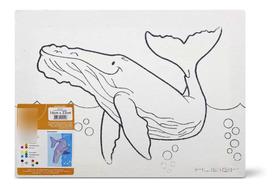 Tela Chassis Sp. Pinus Riscada 16x22 Baleia Souza & Cia