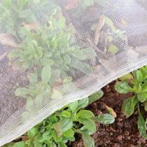 Tela de proteção para jardim Garden Tailor 3x6 m, malha fina contra insetos Tela de proteção para jardim Garden Tailor 3x6 m, malha fina contra insetos
