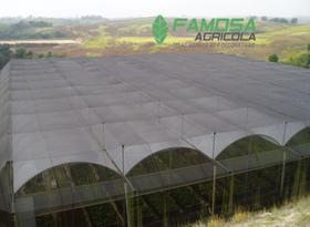 Tela de rafia preta 50% 4x14,4 Tela de rafia preta 50% 4x14,4