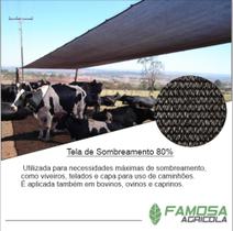 Tela de sombreamento 80% 3x10 - Ginegar