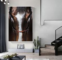 Tela em tecido canvas para sala quarto Moldura Face Cavalo - Imperio do Quadro