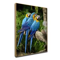 Tela Quadro Decorativo Bege com moldura Arara Azul Passaro - Imperio do Quadro