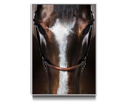 Tela Quadro Decorativo Cavalo face