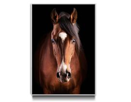 Tela Quadro Decorativo Cavalo Luxo