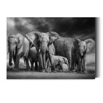 Tela Quadro Decorativo Manada de Elefantes