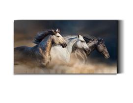 Tela Quadro Decorativo p para Sala Quarto Hall Cavalos Correndo 90x60