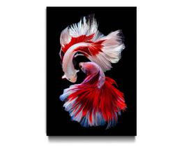Tela Quadro Decorativo p para Sala Quarto Peixe beta Vermelho 130x90 Tela Quadro Decorativo p para Sala Quarto Peixe beta Vermelho 130x90