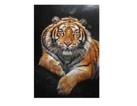 Tela Quadro Grande Decorativo Para sala Tigre Luxo 60x40 Quadro Quarto Hall Cozinha Tela Quadro Grande Decorativo Para sala Tigre Luxo 60x40 Quadro Quarto Hall Cozinha