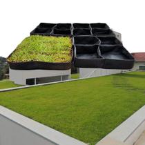 Telhado Verde Módulo Em Feltro 1 M2 Teto Verde Green Roof Allgreen