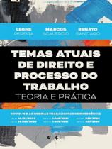 Temas atuais de direito e processo do trabalho: teoria e prática