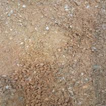 Tempero Bife Acebolado 500gr Tempero Bife Acebolado 500gr