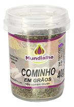 Tempero Cominho Em Grão Mundialho 40g