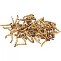 Tenébrio Molitor Desidratado - 200g