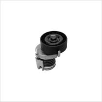 Tensionador Vw Spacefox 2006 a 2018 Skf VKM 31015 L