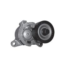 Tensor da Correia de Acessórios C4 C5 C8 307 406 407 807 2001 em diante Ranalle R4510