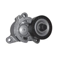 Tensor da Correia de Acessórios C4 C5 C8 307 406 407 807 2007 em diante Ranalle R4516