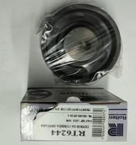 Tensor da Correia Dentada Audi, Volkswagen Golf, Parati, Toyota Corolla Roltens RT 6244 Tensor da Correia Dentada Audi, Volkswagen Golf, Parati, Toyota Corolla Roltens RT 6244