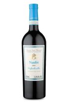 Tenuta SantAntonio Nanfrè D.O.C. Valpolicella 2020 - Tenuta Sant'Antonio