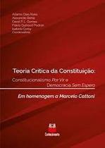 Teoria da crítica da constituição: constitucionalismo por vir e democracia