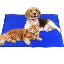 Tepete Gelado Refrescante Cachorro Gato Pet Cao Animais Bichinhos Estimaçao Verao Sol Calor Dias Quentes Veraneio Casa Petshop Praia Piscina