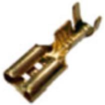 Terminal fêmea Universal Caminhões a RAINHA DAS SETE