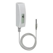 Termômetro digital para piscina com display LCD ECOWITT WN34BL