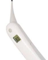 Termometro digital retal veterinario