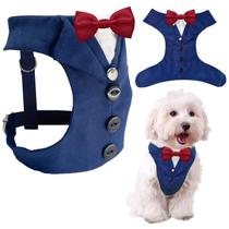 Terno de casamento formal AVERYDAY para cães com gravata borboleta Terno de casamento formal AVERYDAY para cães com gravata borboleta