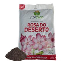 Terra especial para rosa do deserto Terra especial para rosa do deserto