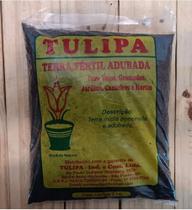Terra Fértil Adubada Tulipa 2 kg Terra Fértil Adubada Tulipa 2 kg