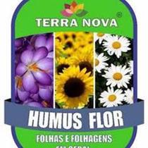 terra hummus flor