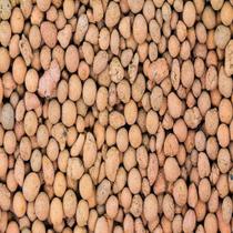 Terra nobre argila expandida 500g