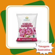 Terra para Rosa do Deserto - 2 Kg Terra para Rosa do Deserto - 2 Kg