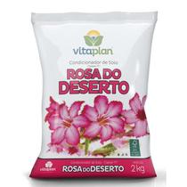 Terra para Rosa do Deserto 2kg Única Terra para Rosa do Deserto 2kg Única