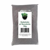 Terra para Suculentas e Cactos 1kg Humus/Perlita/Silica