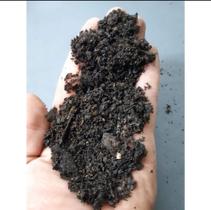 Terra preta Terra preta