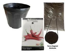 Terra Vegetal Adubada + Pote Plástico 5l + Semente Pimenta M