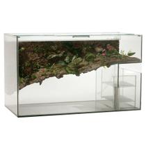 Terrário Aquaterrário para Tartaruga Com Filtro Interno Terrário Aquaterrário para Tartaruga Com Filtro Interno
