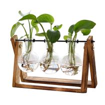 Terrário de plantas XXXFLOWER com suporte de madeira e vaso de 3 lâmpadas