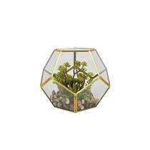 Terrário Decorativo Com Plantas Artificiais Modelo Dodecaedro Dourado Verito Terrário Decorativo Com Plantas Artificiais Modelo Dodecaedro Dourado Verito