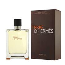 Terre D hermès Eau De Toilette Masculino 100ml - Hermes