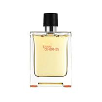 Terre D'Hermès Perfume Masculino Hermes EDT 100ml