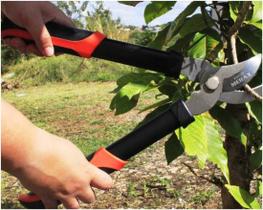Tesoura Bypass de Poda Cabo Médio Merax