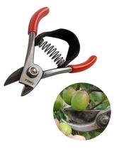 Tesoura para Colheita 11cm Carpa - Ideal para Jardinagem e Paisagismo Profissional