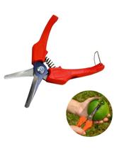Tesoura Profissional Colheita Frutos Carpa 17cm