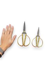 Tesouras Asa Retrô Patchwork Costura Criativa 15cm e 19cm