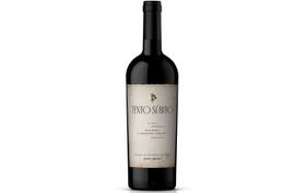 Texto Súbito Blend Malbec-Cabernet Franc 2020 Vinho Tinto Argentina 750ml