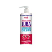 Texturizadora A Juba Creme De Pentear Widi Care 1L Texturizadora A Juba Creme De Pentear Widi Care 1L