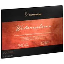 The Collection Hahnemuhle 640g Textura Satinado 36x48cm 10 Folhas