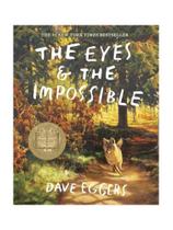 The eyes and the impossible The eyes and the impossible